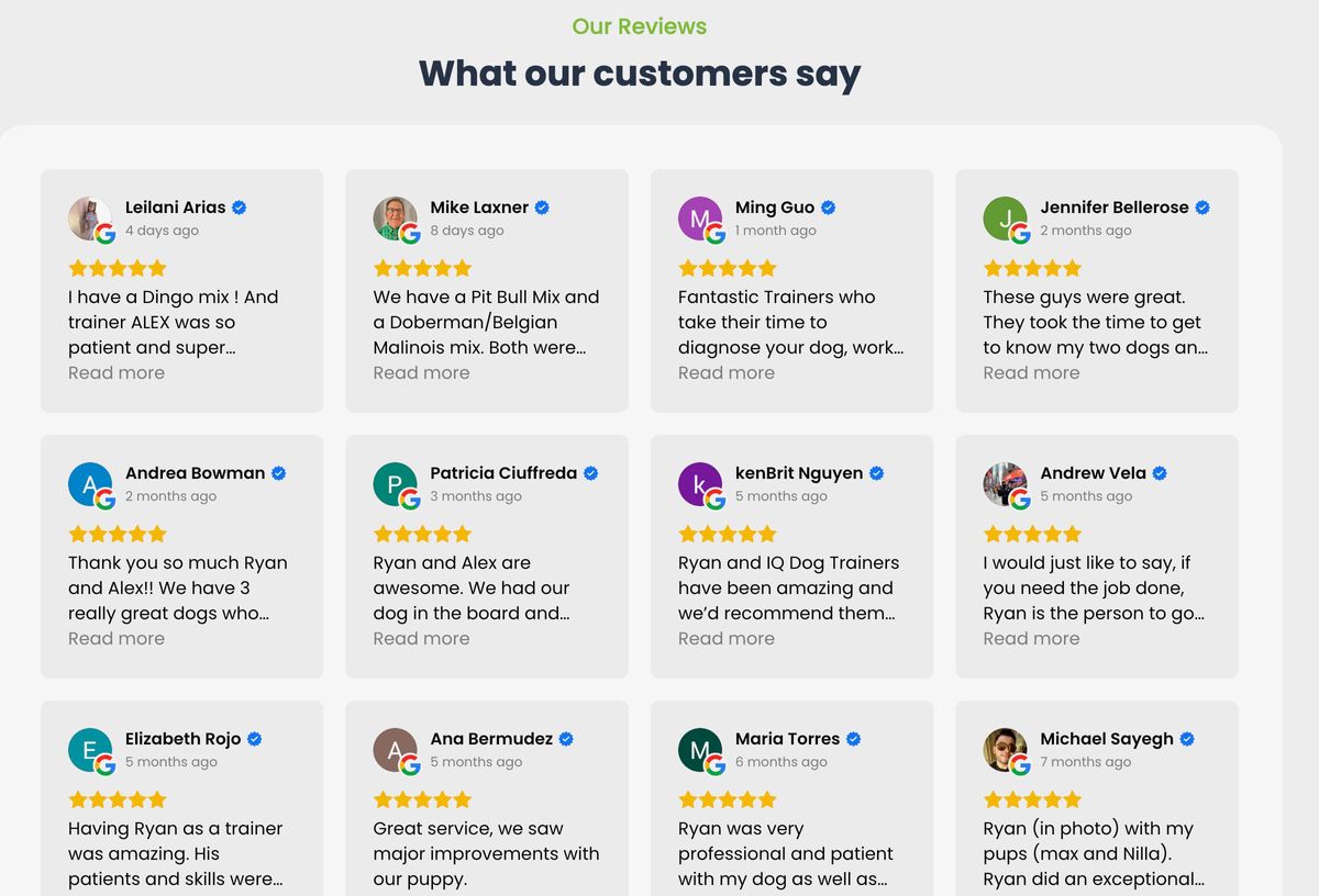 Google Reviews.jpg