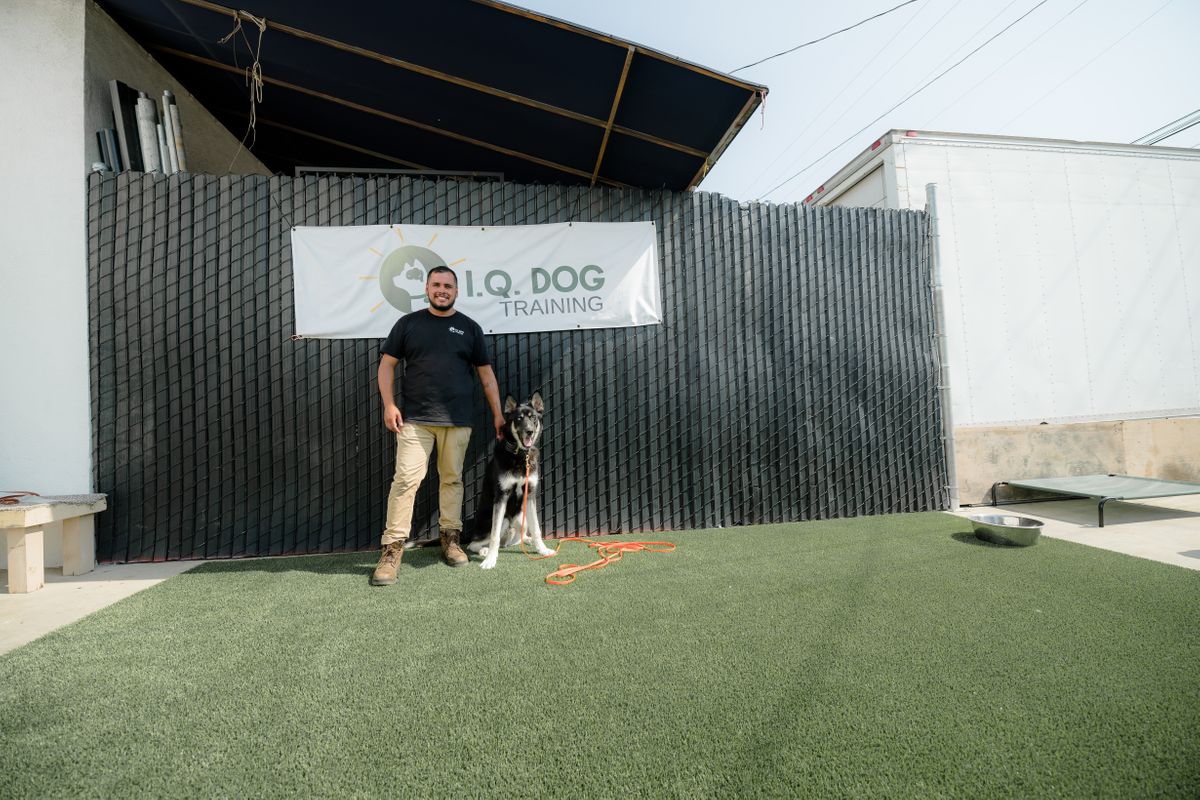 IQ.Dog.Training.09.13.24-76.jpg