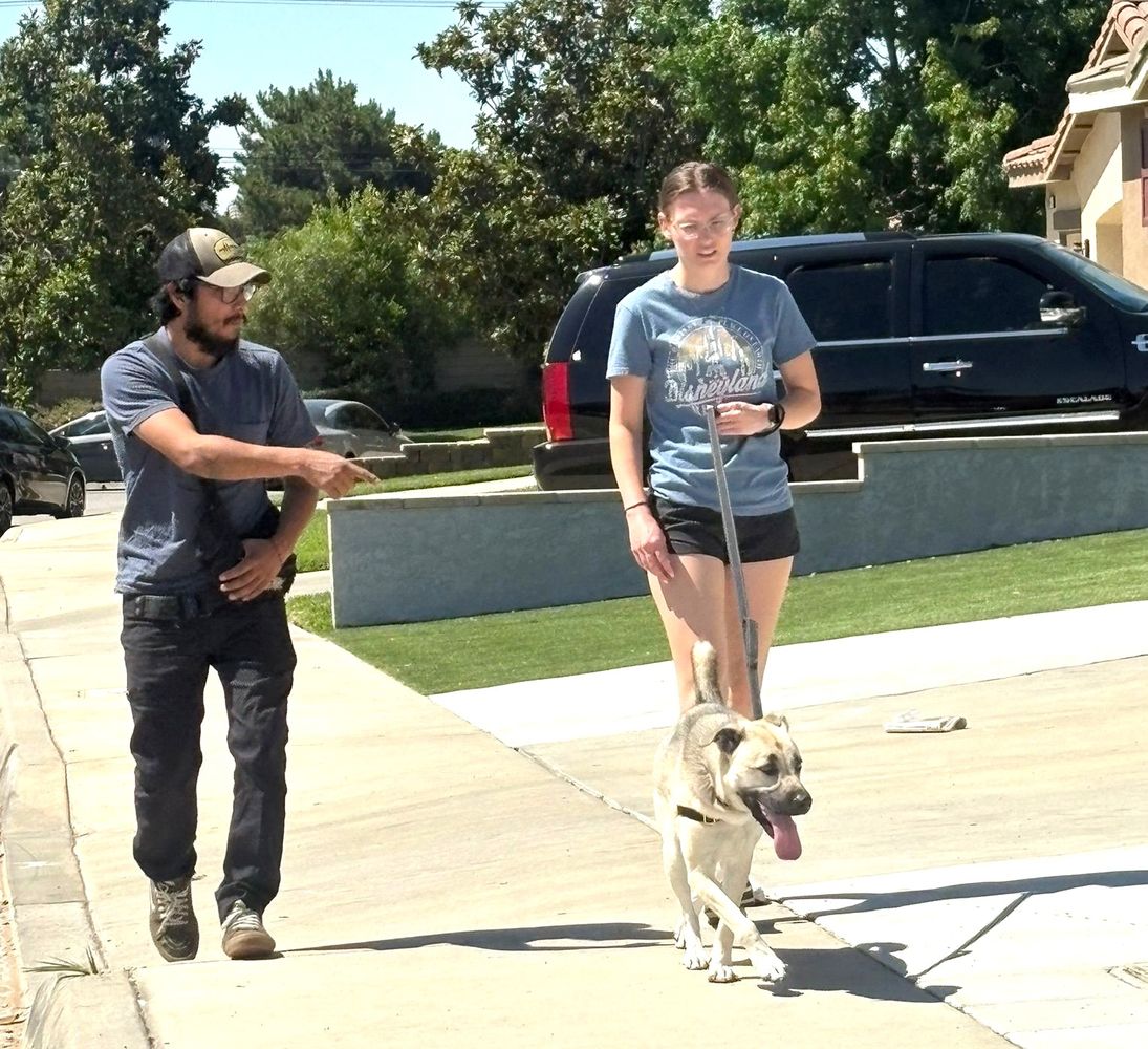 Alex walking instruction.jpg