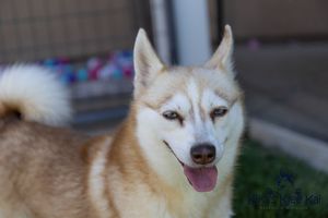 Sassy sassy060521-24.jpg