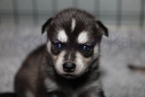 Greta sassy091823-4.jpg