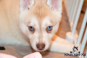 IMG_1418.jpg