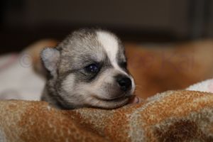 nala 030723-7.jpg