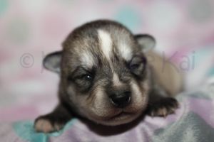Sassy 090523-24.jpg