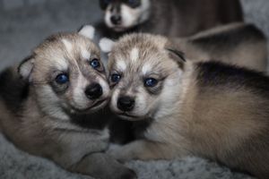 Goldie & Gladys sassy091823-13.jpg