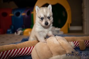 angel022221-125.jpg