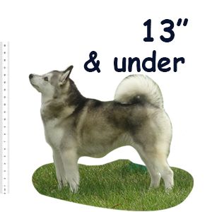 Toy Alaskan Klee Kai Size