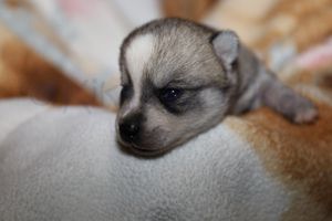 nala 030723-8.jpg