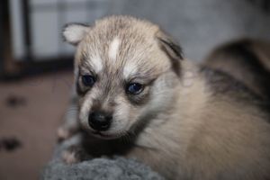Gladys sassy091823-20.jpg