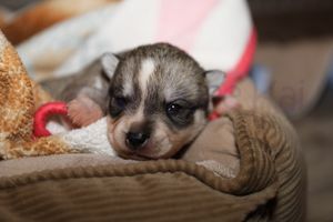 nala 030723-10.jpg