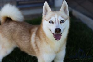 Sassy sassy060521-23.jpg