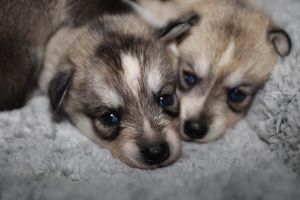 Gale & Goldie sassy091823-26.jpg