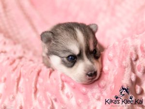 nala032721-16.jpg