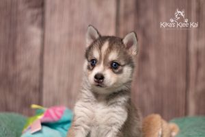 nala041421-11.jpg