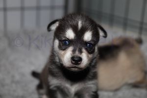 Greta sassy091823-2.jpg