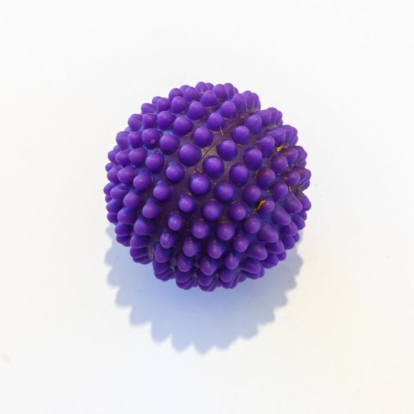 purple rubber dog ball