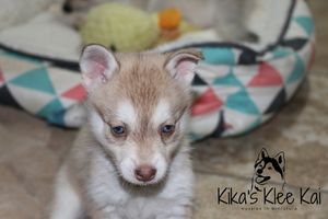 IMG_2880.jpg