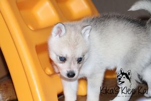 IMG_8061.jpg