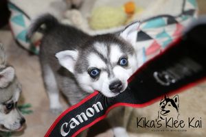 IMG_2886.jpg