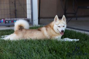 Sassy sassy060521-14.jpg