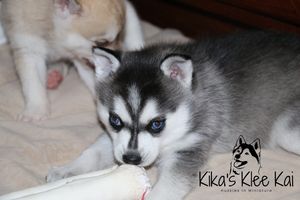 IMG_2863.jpg