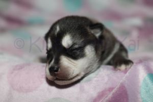 Sassy 090523-5.jpg