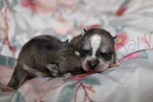 nala 022623-8.jpg
