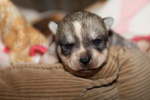 nala 030723-11.jpg
