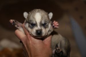 nala 030723-13.jpg