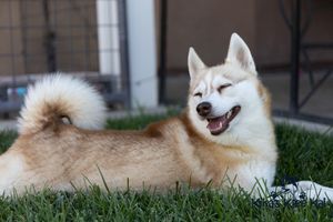 Sassy sassy060521-20.jpg
