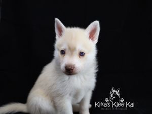 khaleesi4-27.jpg