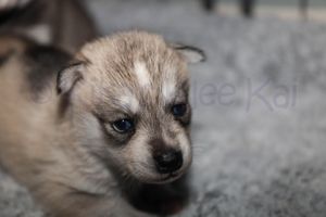 Gladys sassy091823-11.jpg