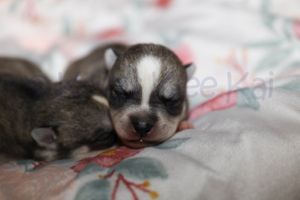 nala 022623-9.jpg