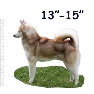 Miniature Alaskan Klee Kai Size