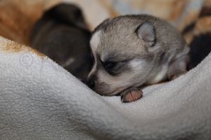 nala 030723-5.jpg