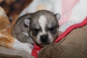 nala 030723-12.jpg