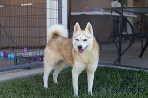 Sassy sassy060521-9.jpg