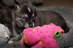 Ian (male) angel 112823-18.jpg
