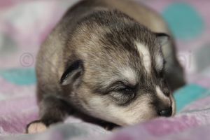 Sassy 090523-18.jpg