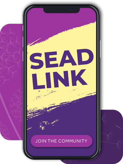 SENDlink-phone img.png