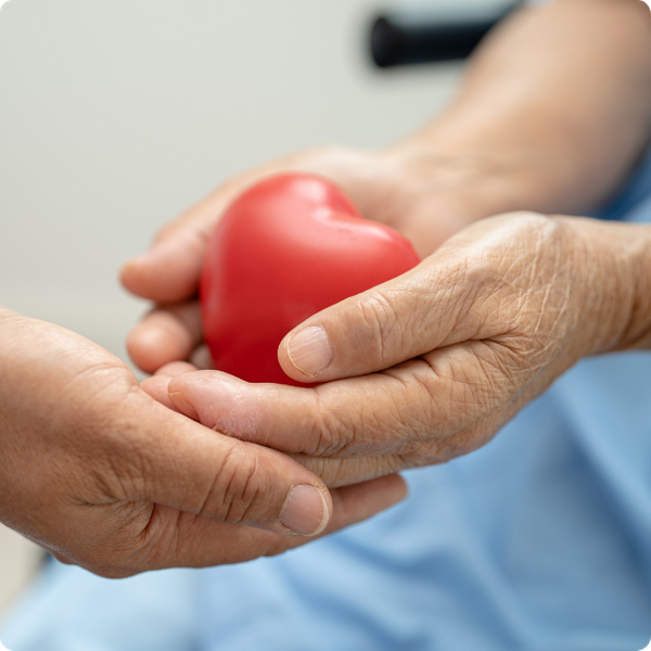 hands holding a heart. 