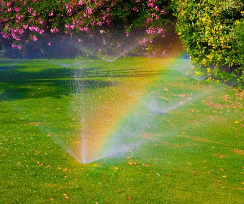 sprinklers in a yard creating a rainbow