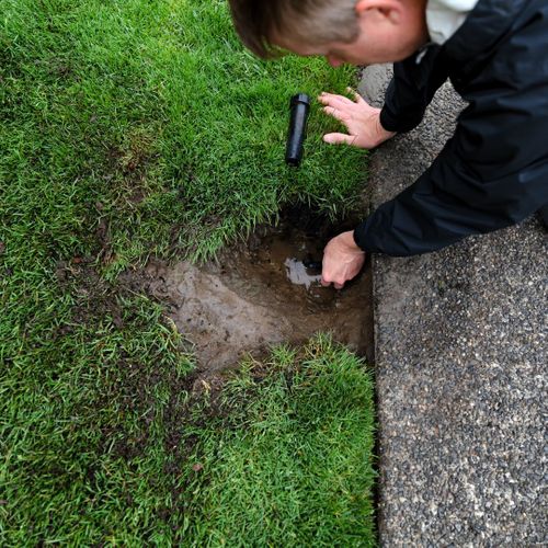 inspecting sprinkler head