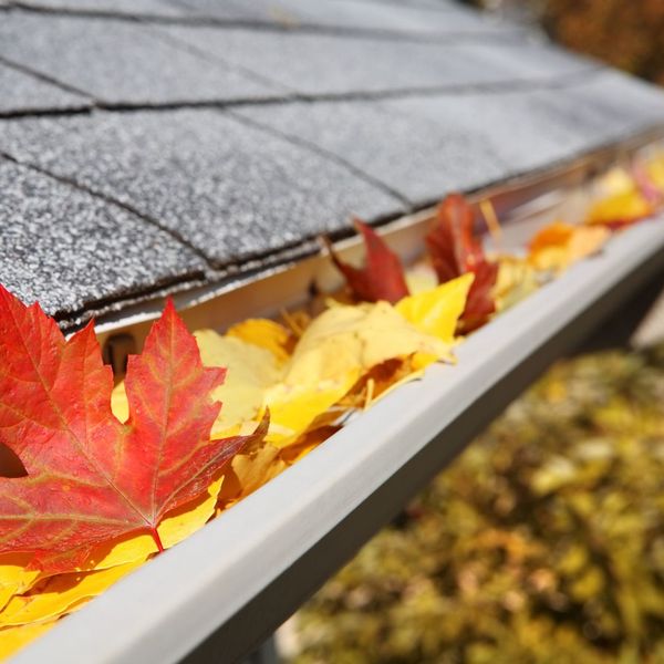 Why Seamless Gutters Are the Best (3).jpg