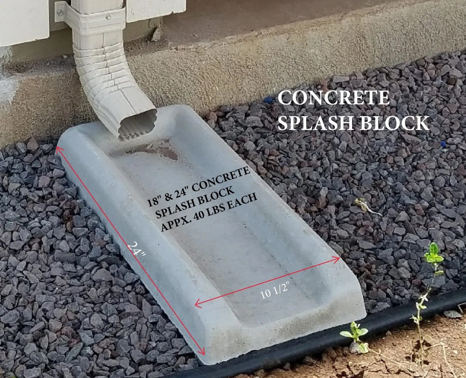 Gallery - Image 1.jpg