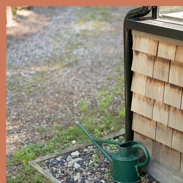 Down spout draining into watering can
