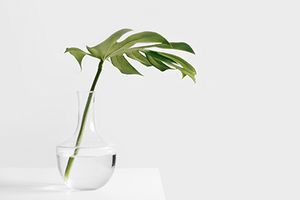 Thumb Understanding White Space and its Role in Design.jpg
