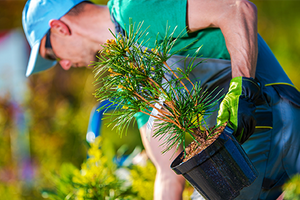 5-Content-Marketing-Tips-for-Landscapers-Thumb.png