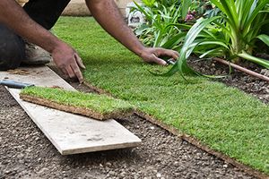 How to Dominate Your Landscaping SEO Strategy-Thumb.jpg