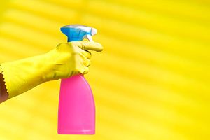 Inspiration for Your House Cleaning WebsiteThumb.jpg